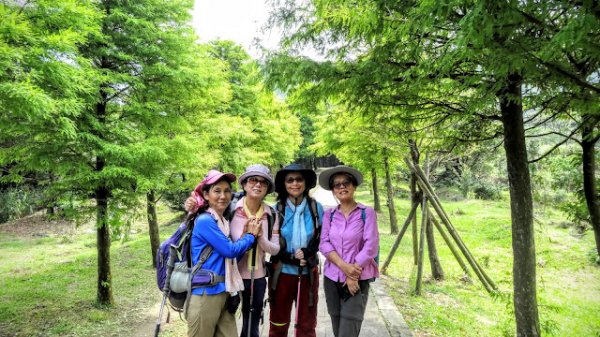 娟絲瀑布步道-夢幻湖生態保護區-冷水坑