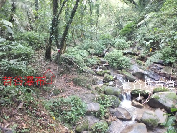 百二階古道+苕谷瀑布+逸仙山+泰和樓2734436
