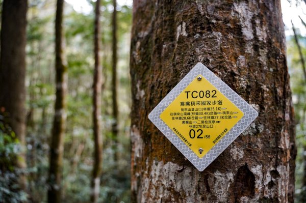 鳶嘴稍來山｜鳶嘴山稍來山O型縱走2987975