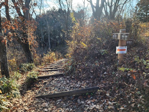 20251127陣馬山至高尾山2959076