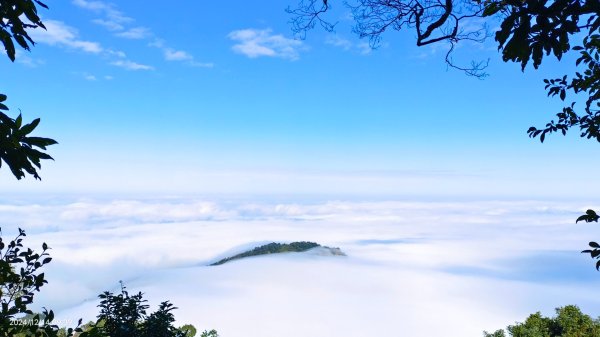 二訪馬拉邦山，解鎖 #琉璃光雲海 #日出雲海  #血月 #斜射光 #楓葉紅了！2668589