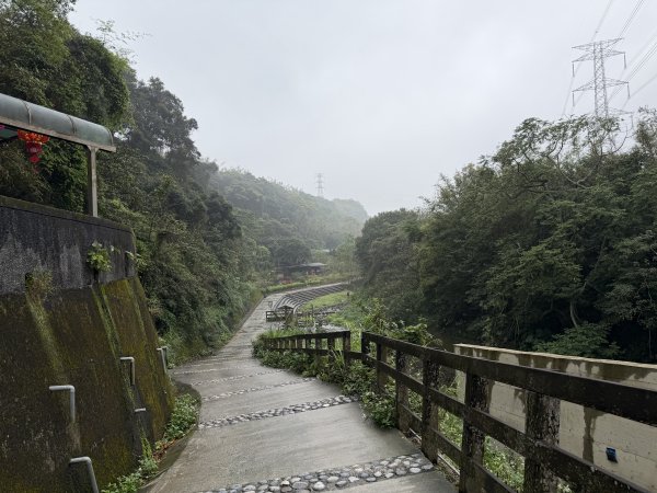 [樟之細路_第一大段RSA01] 2026_0329 清水坑溪景觀3026592