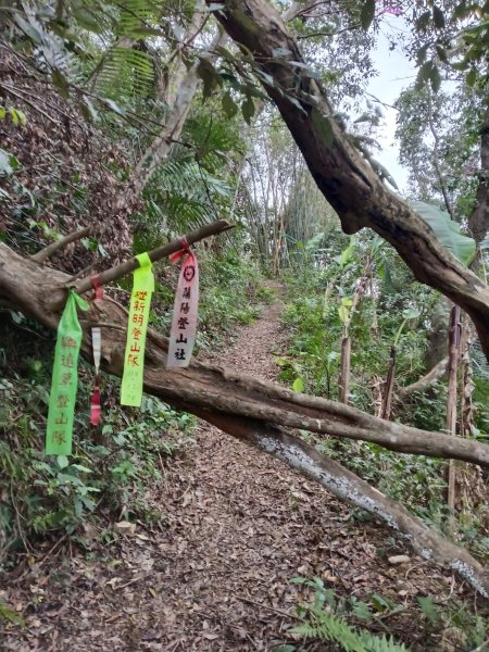 枕頭山-枕頭山西峰2733960
