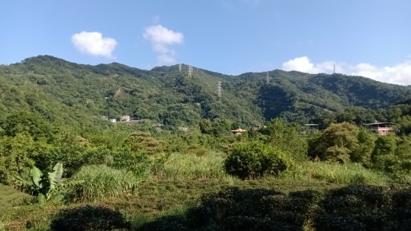 坪林區仁里坂橋-仁里坂山-金瓜寮土地公-仁里坂橋O型3132807