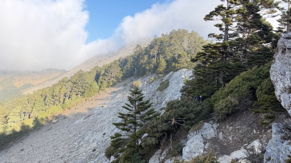 南湖～馬比杉山 2026 04/10-12 三天兩夜3034453