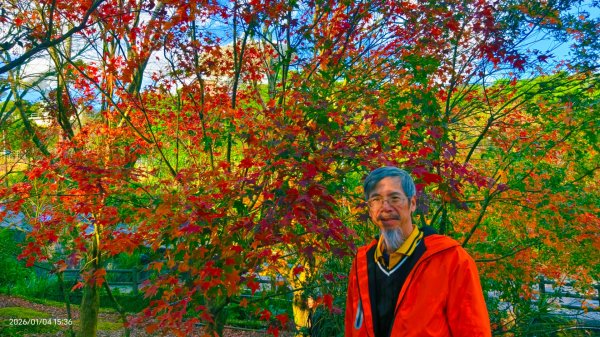 #花卉試驗中心 #永公路500巷 #平菁街42巷 #原住民公園 #士林官邸 1/42976621