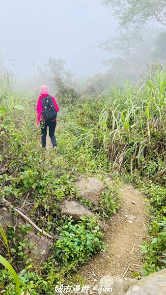 【台南。 南化】迷霧山徑。 小百岳集起來。 編號70小百岳~刣牛湖山登山步道1610485