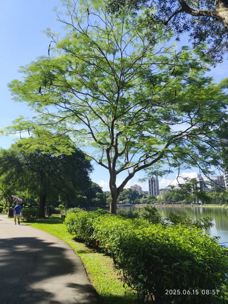 內湖碧湖公園步道、郭子儀紀念堂、獅頭山、大港墘公園、宏匯瑞光廣場2813428