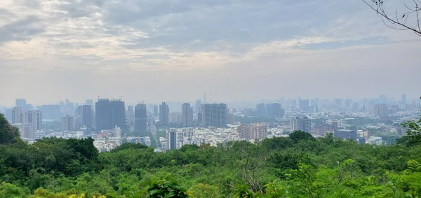 2024-05-18北柴山登山步道2507872