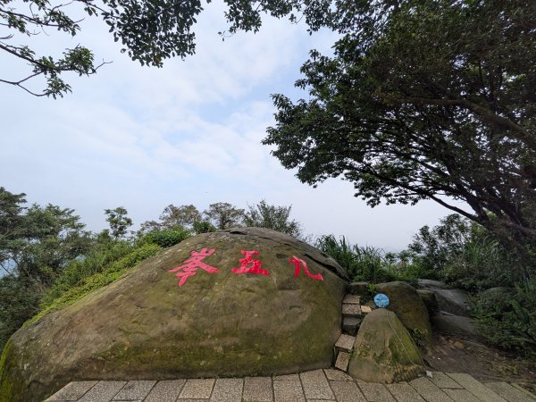 2025-06-08 臺北大縱走第六、七段2814182