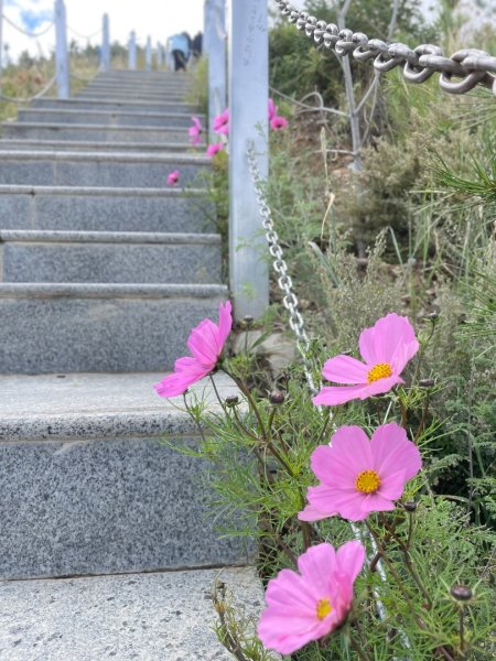 拉薩/布達拉宮-札達/古格王朝遺址皮央東嘎遺址-古寺廟2898481