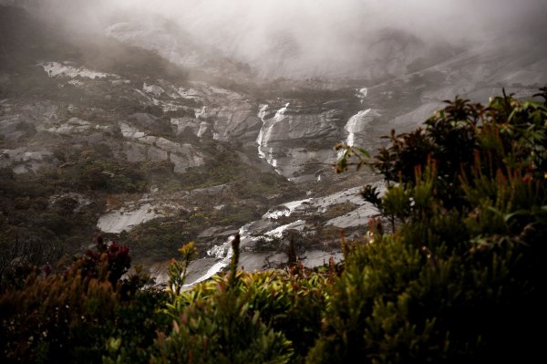 馬來西亞 京那巴魯山 Gunung Kinabalu2756369
