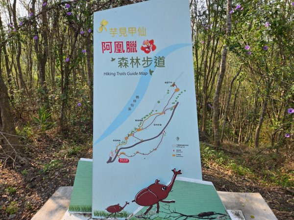 350高地、阿凰臘森林步道3033470