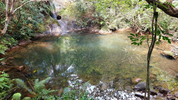 平溪區 東勢格越嶺古道-咸豐嶺古道-臭頭山-白石後仙洞O型2267794