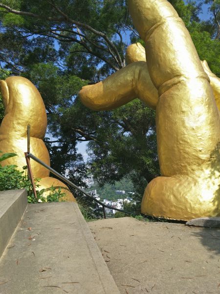 南觀音山步道374799