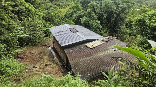 20250722三腦寮北峰-白雲里山-栳寮山(未果)-栳寮東峰2844076