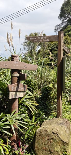 2026-0313 烘爐地步道-南勢角山-紫竹寺3015911