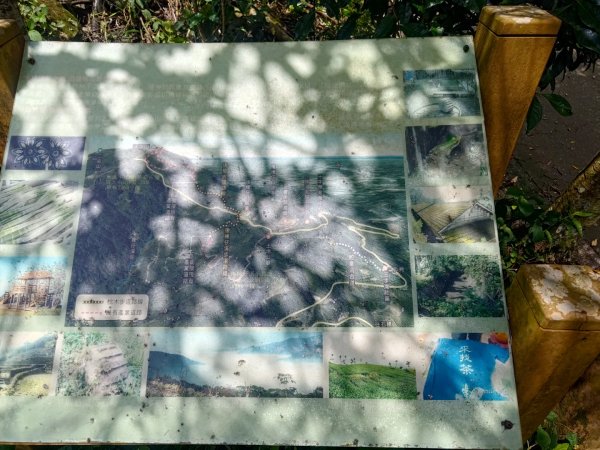 華山4-2號步道上雲嘉連峰2579374