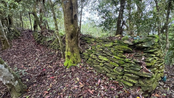 六龜警備線南段（藤枝-茂林）2天1夜2758262