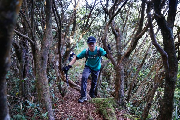 新竹關西鎮 水田林道之貴妃&那結山連走1539699