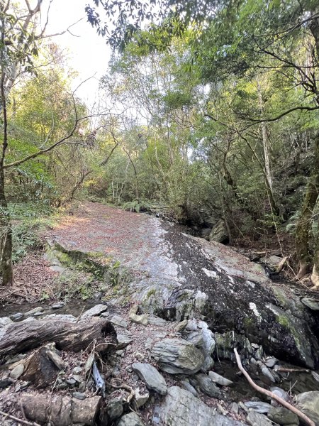 ~ 上帝的部落 - 司馬庫斯 ~3023504