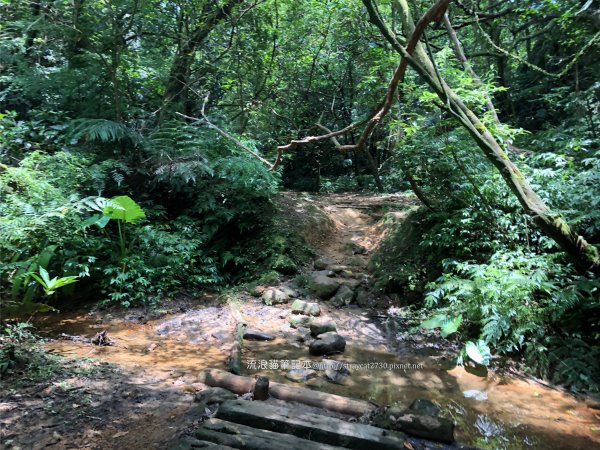 三貂嶺越嶺猴硐步道1035716