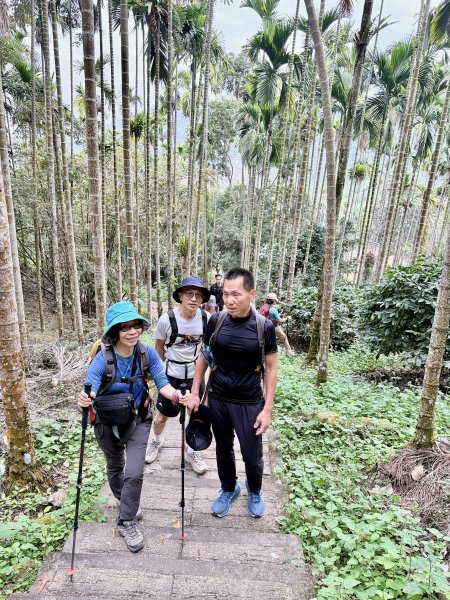 二尖.大尖山悠遊--好友再聚的茶園餘韻   2026.01.182985464