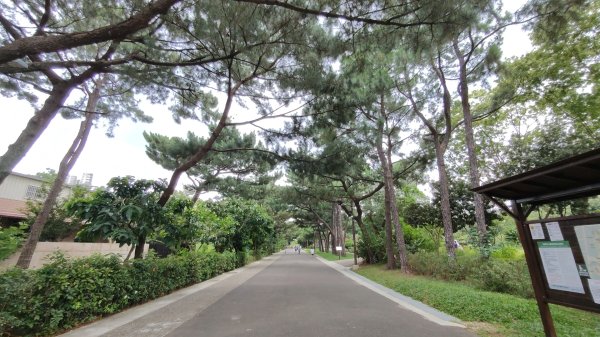 霄裡好風光運動樂悠遊-大湳森林公園2823562