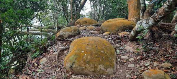 《苗栗》霧雨寒流｜三義三角山步道202512252969247