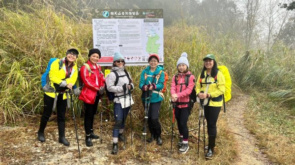 🌈12/18（三）魔法森林-塔曼山~網美打卡-巴陵鐵塔🌈2671867