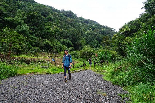 淡蘭古道中路O型988535