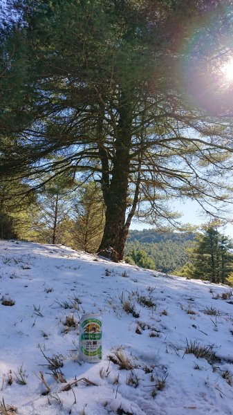 漫遊大雪山遊樂區1312321