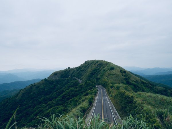 20220417｜燦光寮山、半平山1678371