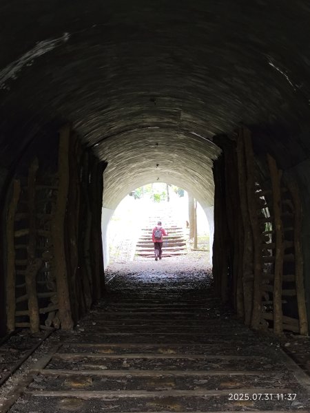 圓覺寺步道→新福本坑→碧湖步道→碧山公園→國立臺灣戲曲學院→碧湖公園→大港墘公園【臺北健走趣】2849258