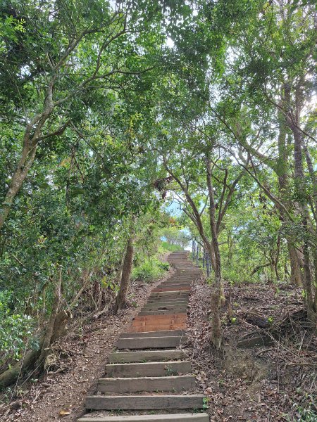 南化鈺鼎步道上糖子恩山+北峰202503152736907