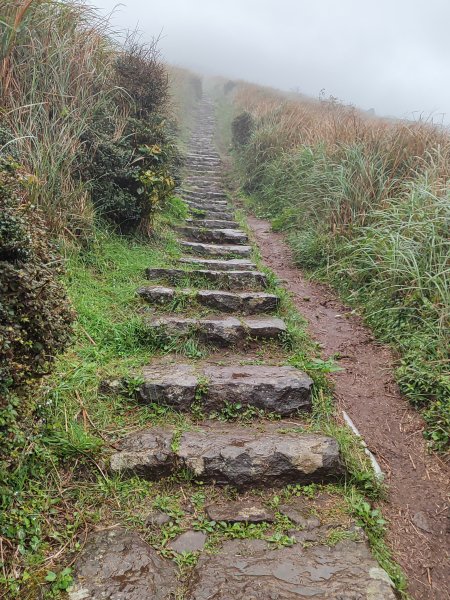 2026臺北大縱走第一段&第二段3011314