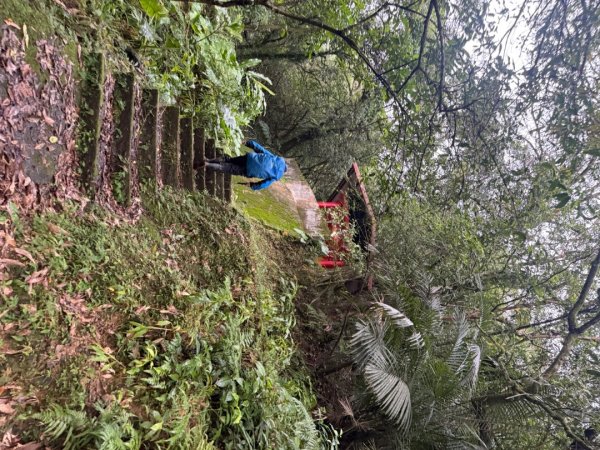 三林一后一紙及武山煤礦文化遺址8字行2991115