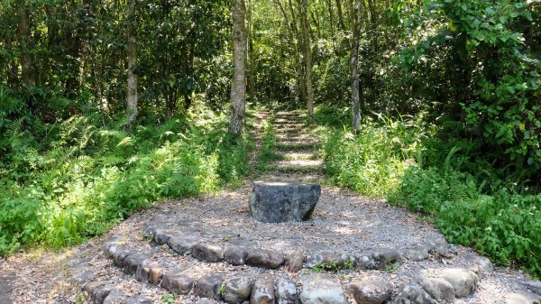 天送埤,拳頭姆步道2542524