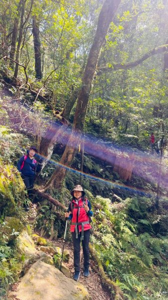 🌈3/15（日）北得拉曼神木+內鳥嘴山✨FB：熊熊趴爬走🌈3016847