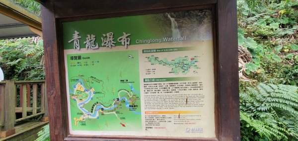 2023-01-01杉林溪青龍蕨類步道(青龍瀑布)、松瀧岩瀑布及天地眼步道1978847