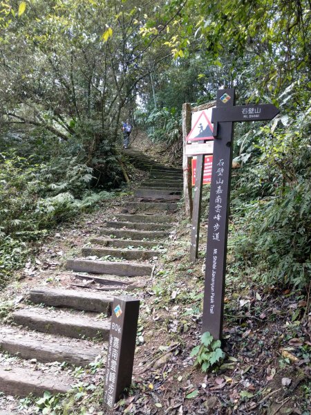 石壁山(小百岳#55)及嘉南雲峰。穿越武俠電影場景之孟宗竹林區1363356