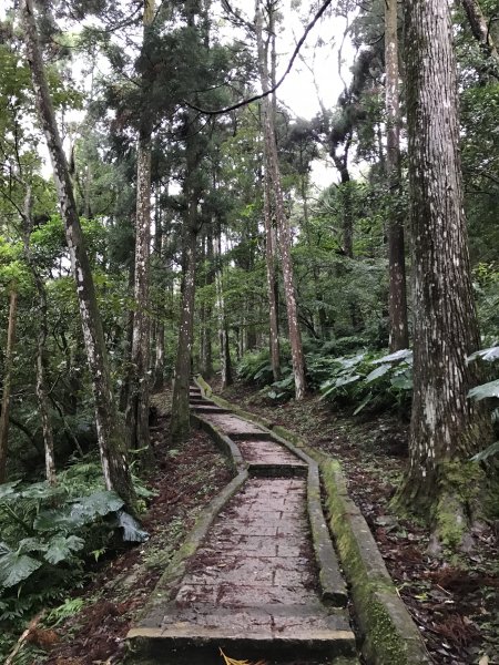 109年12月12日 新北 滿月圓森林遊樂區1365681