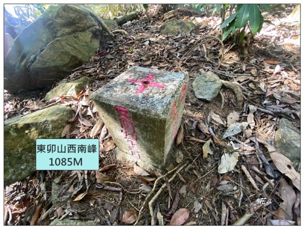 東卯山、東卯山西峰、東卯山西南峰 連走2932841