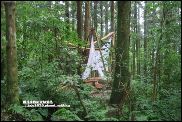 東眼山打卡新亮點森林裡的木構裝置藝術1021790