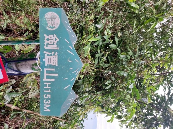 劍潭山親山步道2017537
