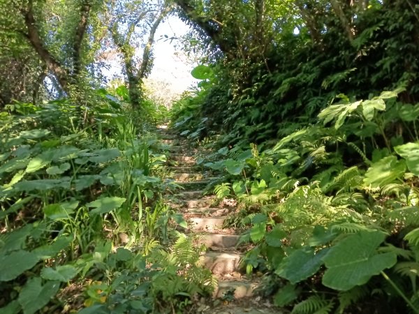 基隆市曾子寮山+大德山+摩天嶺+九華山+龍鳳山+火號山+球子山燈塔+白米甕砲台+白米甕尖+基隆燈塔3006519