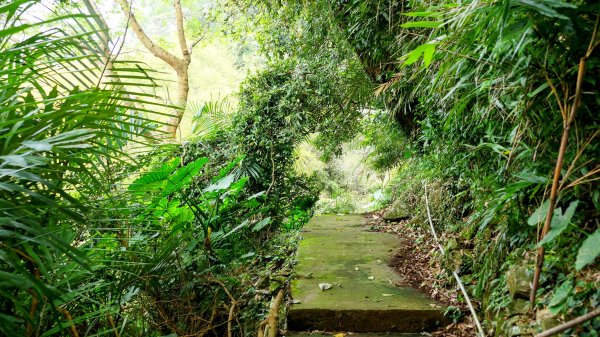 《西江月。竹子湖春》2721794