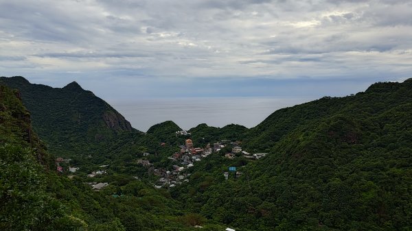 楊廷理古道2814576