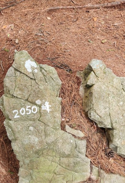 【中級山縱走】最美中級山，鳶嘴西稜縱走（鳶嘴山，醜崠山，長壽山）2741415