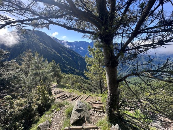 鹿林前山、鹿林山、麟趾山O繞縱走2799639